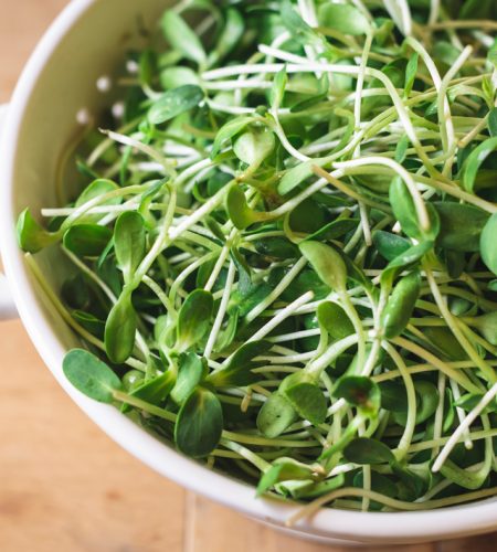 sprouts-in-a-bowl